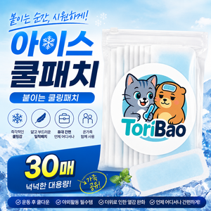 토리바오 붙이는 개별포장 쿨링패치, 30개