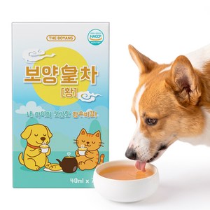 더보양 보양황차 강아지 고양이 마시는 보약 천연 영양제, 황태, 40ml, 7개