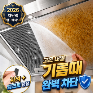 에블모어 잘라쓰는 내열강화 주방 후드 필터 10m, 1개