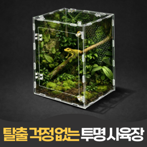 펄빈 상부오픈 투명 아크릴 파충류 사육장 30cm, 1개, 화이트