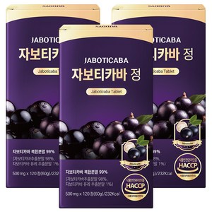 [정품] 자보티카바 정 Jaboticaba, 3개, 120정