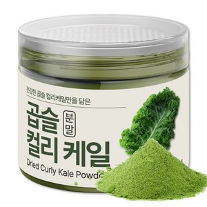 The큰나무 대용량 컬리케일 분말 건조 곱슬케일, 1개, 90g