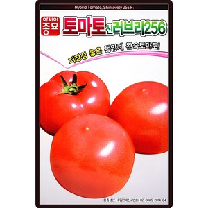 아시아종묘 신러브리 256 토마토 씨앗 20p, 1개