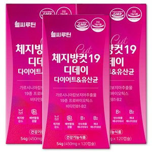 헬씨루틴 체지방컷 19 디데이 다이어트 유산균, 3개, 120정