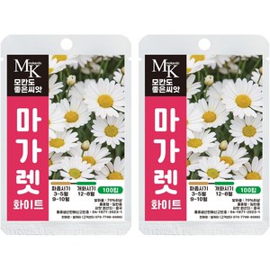 모칸도 좋은씨앗 마가렛 씨앗 화이트 100립 꽃씨 꽃씨앗, 2개
