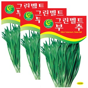 세인화분 그린벨트 부추씨앗 1000립 부추씨 채소씨앗 부추 씨앗, 3개
