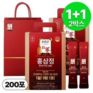1+1 홍삼정 6년근 하루한포 100회분 대용량+쇼핑백, 2개, 1L