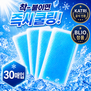 블리오 쿨 붙이는 아이스 패치 쿨팩 KC인증 해열 젤 냉각, 30개