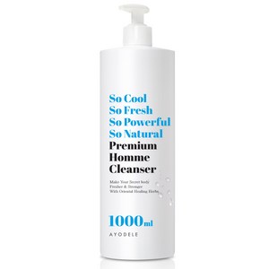 아요델 쏘쿨 쏘프레쉬 프리미엄 허브힐 남성청결제 1 000ml, 1L, 8개