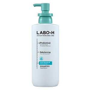 라보에이치 댄드러프클리닉 탈모증상완화 기능성 샴푸, 400ml, 1개