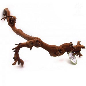 포도 유목 브라운 S 15-30cm 2개입, 단품