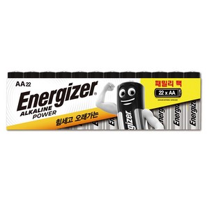 에너자이저 알카라인 건전지 패밀리팩 AA, 22개입, 1개