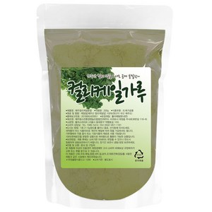 산들약초 제주산 컬리케일가루 곱슬케일분말, 200g, 1개