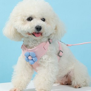 해피펫밀리 데이지 하네스 리드줄 세트, 핑크, 1개