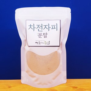 차전자피 분말, 1개, 500g
