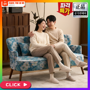 노스테라 복고풍 소파 미니 작은 쇼파 패브릭 안락 사무실 거실 휴식 1인 2인 3인, 150cm 블루 선플라워