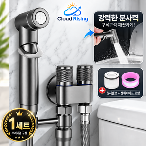 CLOUD RISING 황동 2구 앵글밸브 욕실 청소용 스프레이건 양변기 분사기 세트, 1세트, 황동 건메탈