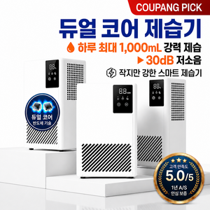 LANGDOO 가정용 제습기 2L 듀얼코어 강력제습 저소음 미니 가정용 원룸 욕실 옷장 실내 빨래건조 만수자동정지, D10-A