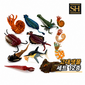 선호그룹 고대생물 세트 삼엽충 암모나이트 해양 바다 심해 화석 운석 피규어 모형 공룡 전시 액침표본 고생대 동물, 12개