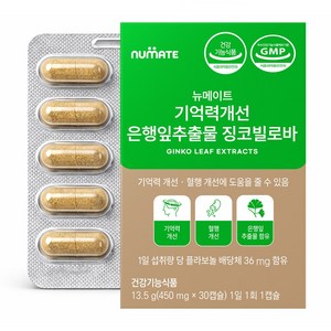 뉴메이트 기억력개선 은행잎추출물 징코빌로바 1박스, 1개, 30회분