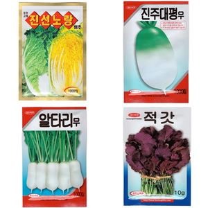 김장 채소 무 배추 알타리 적갓 씨앗 4종 세트, 1개