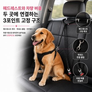 강아지 차량용 2중 고정 안전벨트 헤드레스트 버클 연결 하네스 리드줄, 1개, 검은색
