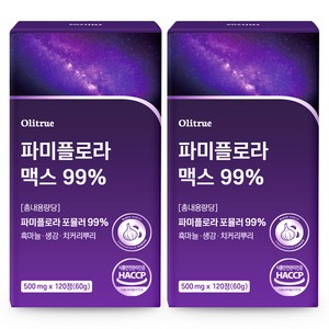 대용량 파미 플로라 99% 흑마늘 생강 HACCP인증, 2개, 120정