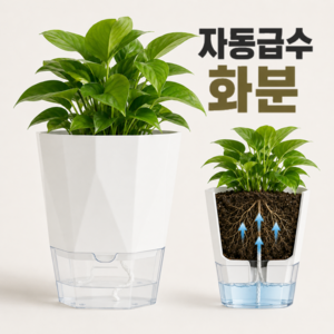 [하루픽] 모던 디자인 자동으로 물 주는 화분, 2개, 피아노 화이트