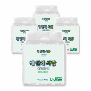 내안에사랑 남녀공용 성인기저귀 팬티형, 특대형, 4개, 10개입