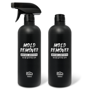 플레이클린 초강력 곰팡이제거제, 2개, 500ml