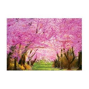 1000피스 직소퍼즐 봄의 분홍 벚꽃길 (액자선택) PL1387, 1개, 퍼즐단품 액자없음