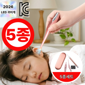 온데이 귀파기새 LED 귀이개 5종 세트 귀청소 라이트 집게 핀셋 귀파개, 1개, 1세트