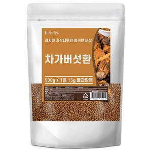 건강중심 러시아 차가버섯 환, 1개, 500g