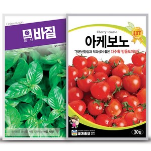 아케보노 방울토마토 30립+온세상 바질 150립, 1개