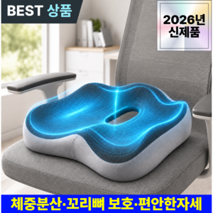 모니엔 고밀도 메모리폼 밸런스핏 프로 3.0 편안한 자세 꼬리뼈 방석, 애쉬 그레이