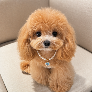 리노아 반려동물 선물 목걸이 펫 액세서리 고양이 강아지 공용 귀여운 장식 촬영 소품, 1개, 01블루