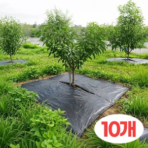 과수원 펀칭 제초매트 나무전용 잡초방지 부직포시트 100cm, 10개
