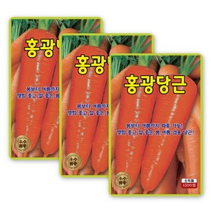 산들마켓 홍광당근 씨앗 1500립 봄부터 여름까지 파종가능한 우수 품종, 3개