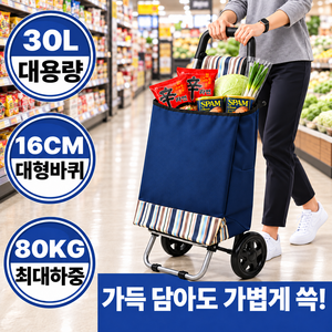 다이핏 스트롱 쇼핑카트 접이식 시장바구니 핸드캐리어, 네이비, 스트라이프, 1개
