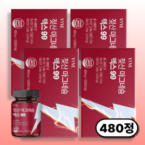 젖산 마그네슘 맥스99 HACCP 인증 100% 정품, 4개, 120정