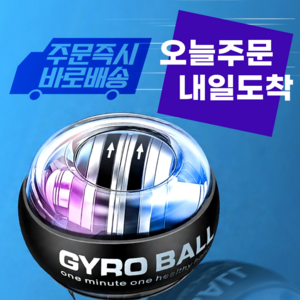 플램 자이로볼 9세대 악력 손목 운동기구 전완근 스트레칭 파워볼, 1개, 스타터