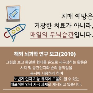 기억뜰 노인 치매예방 어르신 인지 놀이 교구 부모님 선물, 1개, ORANGE