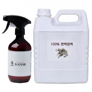 초록모아 잎 편백수 피톤치드 스프레이 탈취제, 1개, 5L