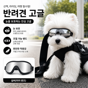 퓨처 반려견 고글 선글라스 방풍 강아지 안경 소형견 중형견 외출 보호용 애견 패션 아이템, 1개, 블랙 프레임 실버 렌즈