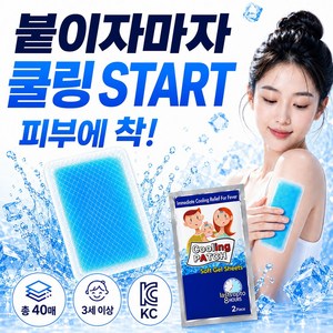 데이베크 시원한 쿨패치 쿨링 냉각 시트, 40개