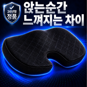 디오벨러 기능성 메모리폼 엉덩이 꼬리뼈 방석, 메쉬 블랙