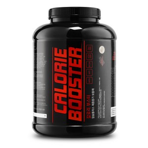바디하우스 단백질 보충제 대용량 칼로리 부스터 4kg, 1개