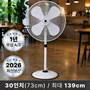 [26년신상품]이즈하임 76cm(30인치) 공업용 업소용 대형 선풍기 IF-30M01
