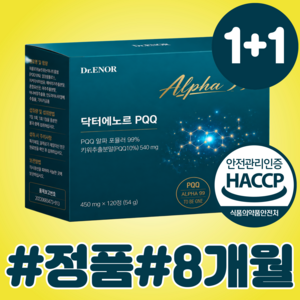 피큐큐 PQQ 100% 정품 식약청 인증 시설제조, 2개, 120정