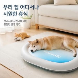 타원형 펫 쿨링 패드 내구성 강한 PVC 재질 두꺼운 젤 균일 냉각 모든 견종 통용 무전원 시원한 침대, 1개, 하늘색